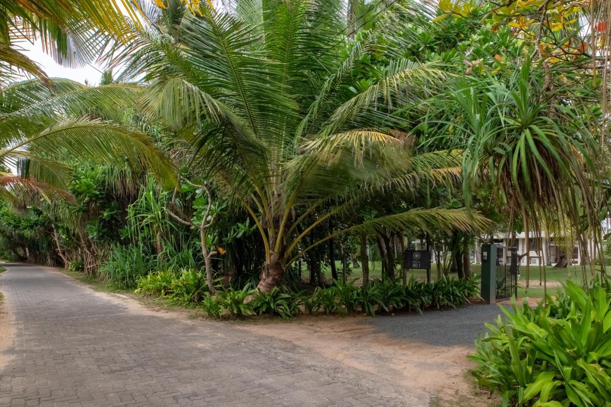 Bentota No 1 Villa Kültér fotó